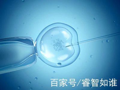 代生儿子机构